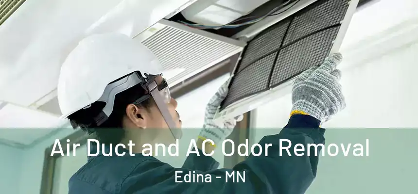 Air Duct and AC Odor Removal Edina - MN
