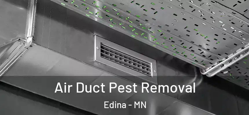Air Duct Pest Removal Edina - MN