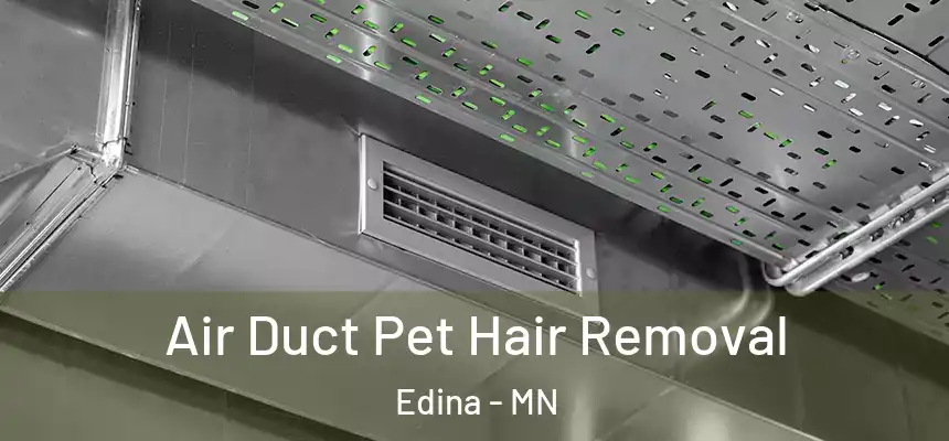 Air Duct Pet Hair Removal Edina - MN