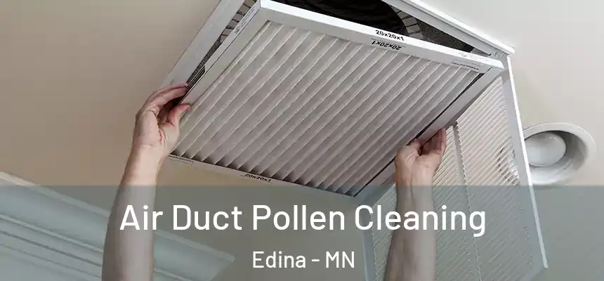 Air Duct Pollen Cleaning Edina - MN