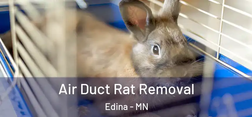 Air Duct Rat Removal Edina - MN