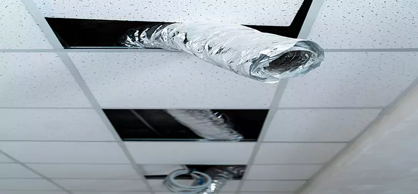 Affordable HVAC Sanitizing After Pest Removal in Edina