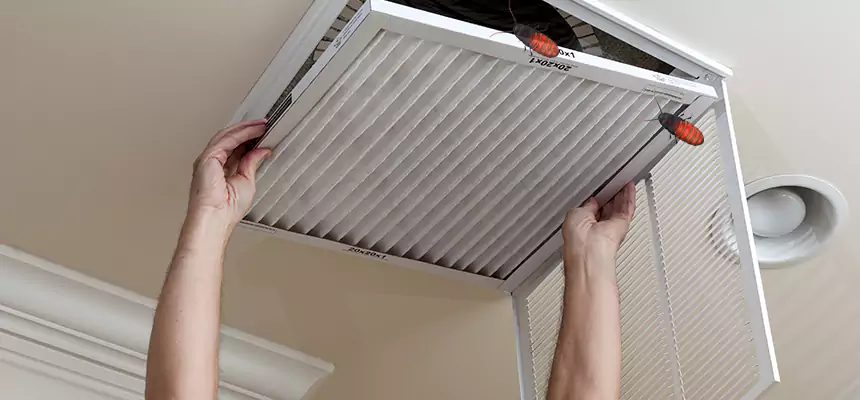 Our Insect Removal from Air Ducts Services in Edina, MN