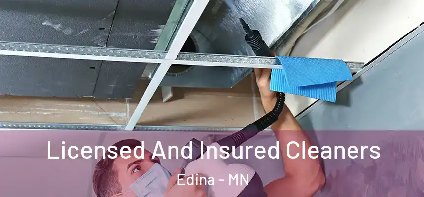 Licensed And Insured Cleaners Edina - MN