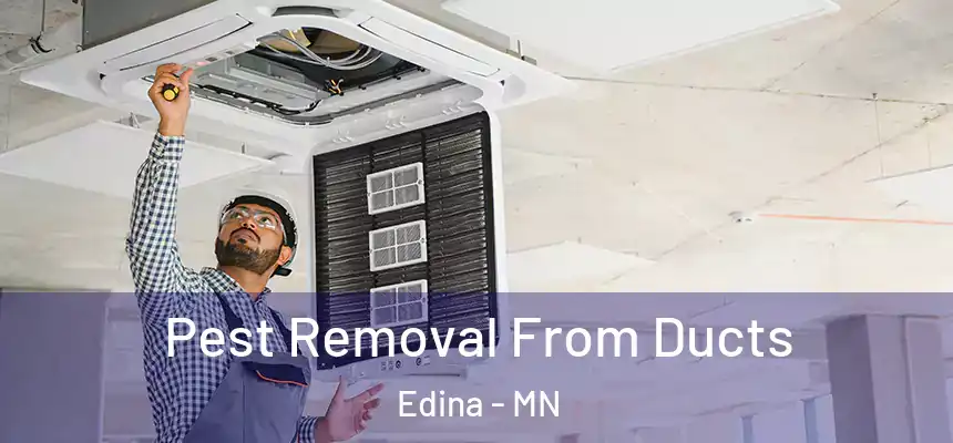  Pest Removal From Ducts Edina - MN