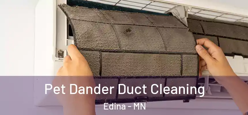 Pet Dander Duct Cleaning Edina - MN