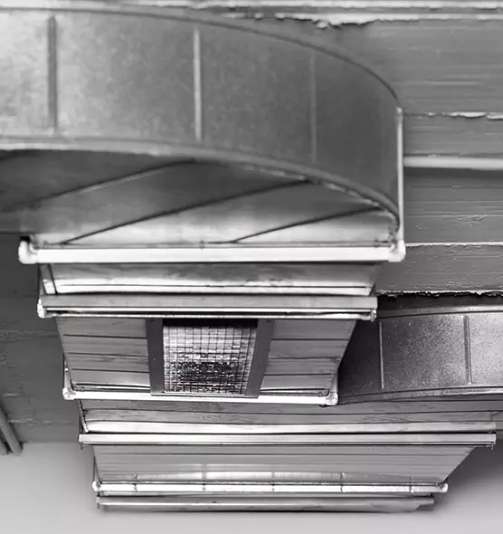 Professional Air Duct Pet Hair Removal in Edina, MN