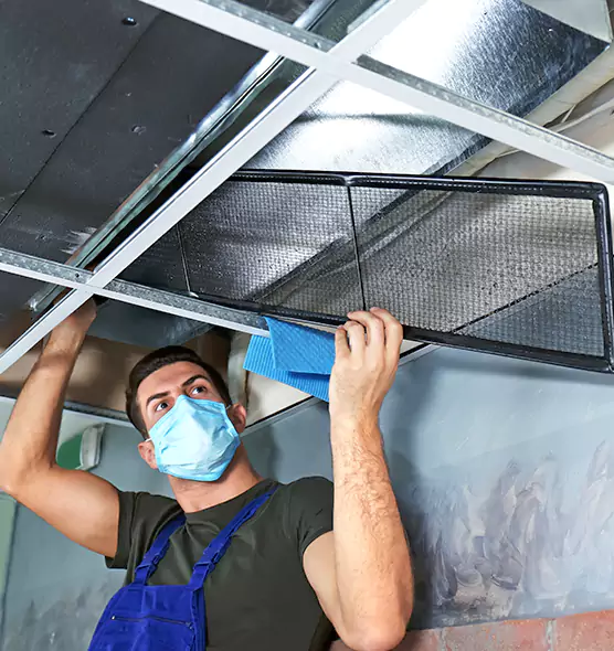 Professional Air Duct Pollen Cleaning in Edina, MN