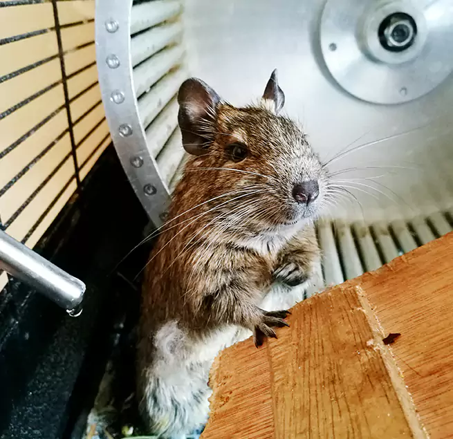 Why Homeowners & Businesses Trust Us Edina, MN