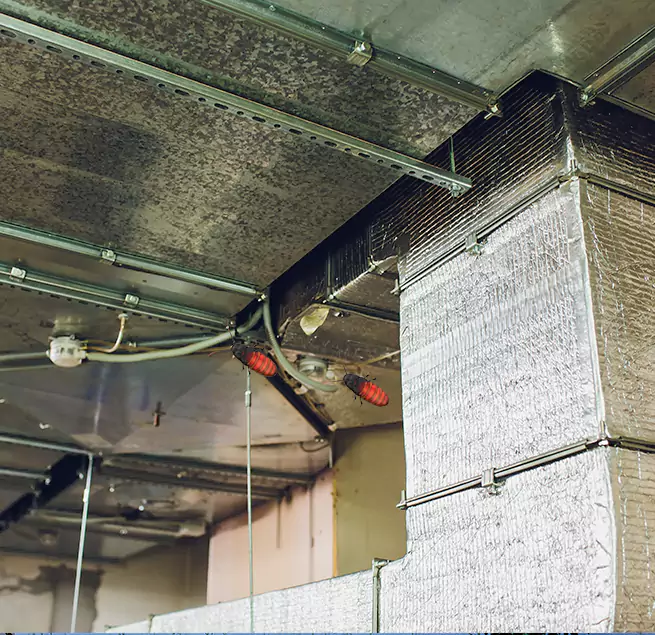 Why Homeowners & Businesses Trust Us Edina, MN?